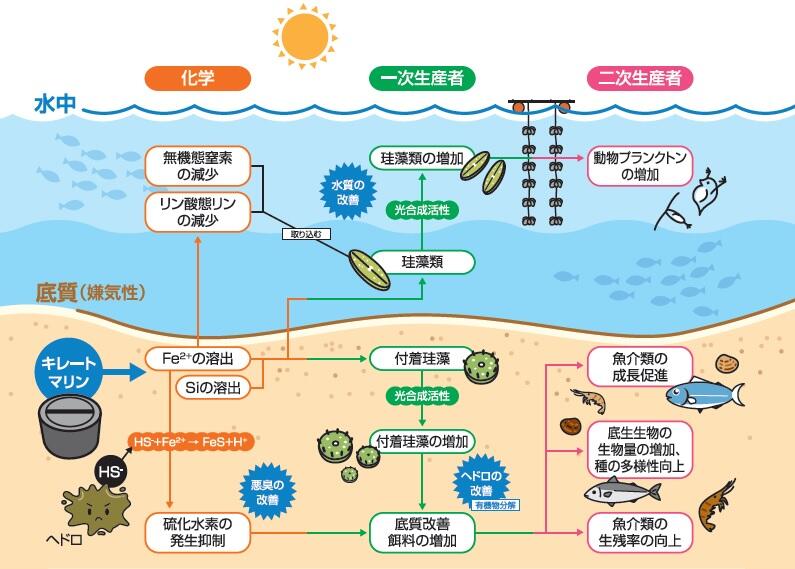 キレートマリンのメカニズム