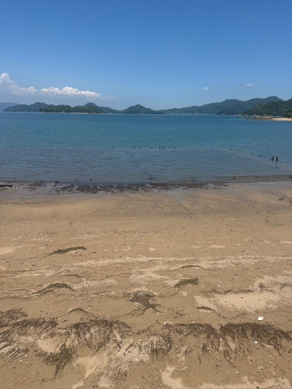 大崎上島の藻場づくりエリア