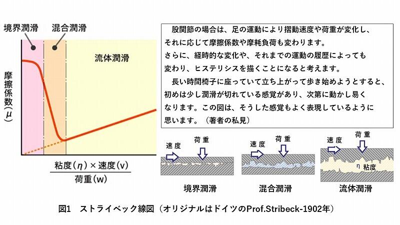 ストライベック線図(採用).jpg